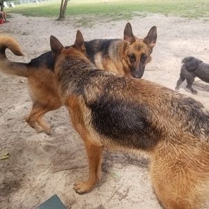 Meet your Posher, Debbie